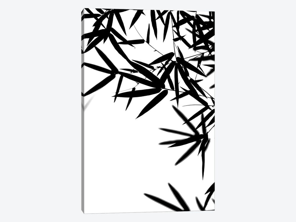 Bambus Leaves Black by Monika Strigel 1-piece Canvas Wall Art