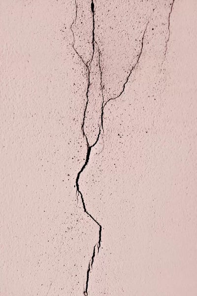 Abstract Photography: Bella Italia Shabby Wall Rose by Monika Strigel