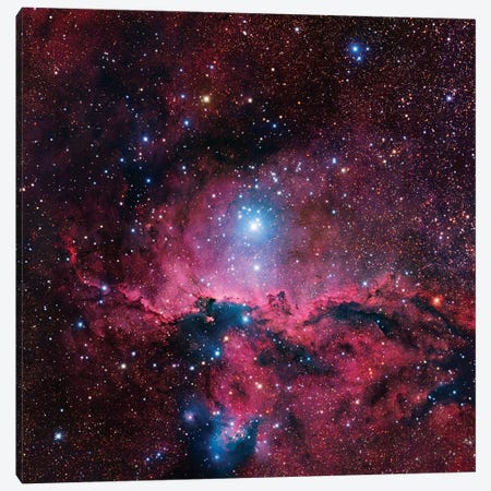 Star Forming Region In Ara (NGC 6188) II Canvas Print #GEN100} by Robert Gendler Art Print