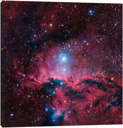 Star Forming Region In Ara (NGC 6188) II Canvas Art Print - Robert Gendler