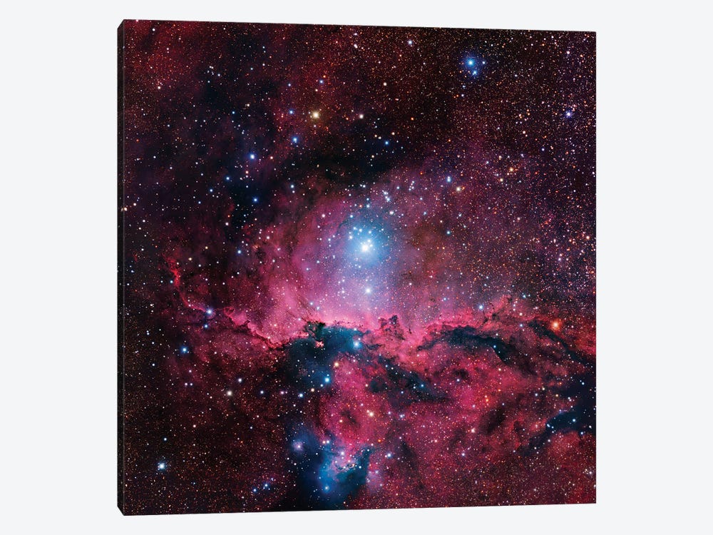 Star Forming Region In Ara (NGC 6188) II by Robert Gendler 1-piece Canvas Art