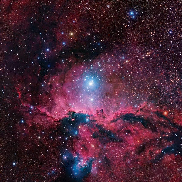 Robert Gendler: Star Forming Region In Ara II (NGC 6188) by Robert Gendler