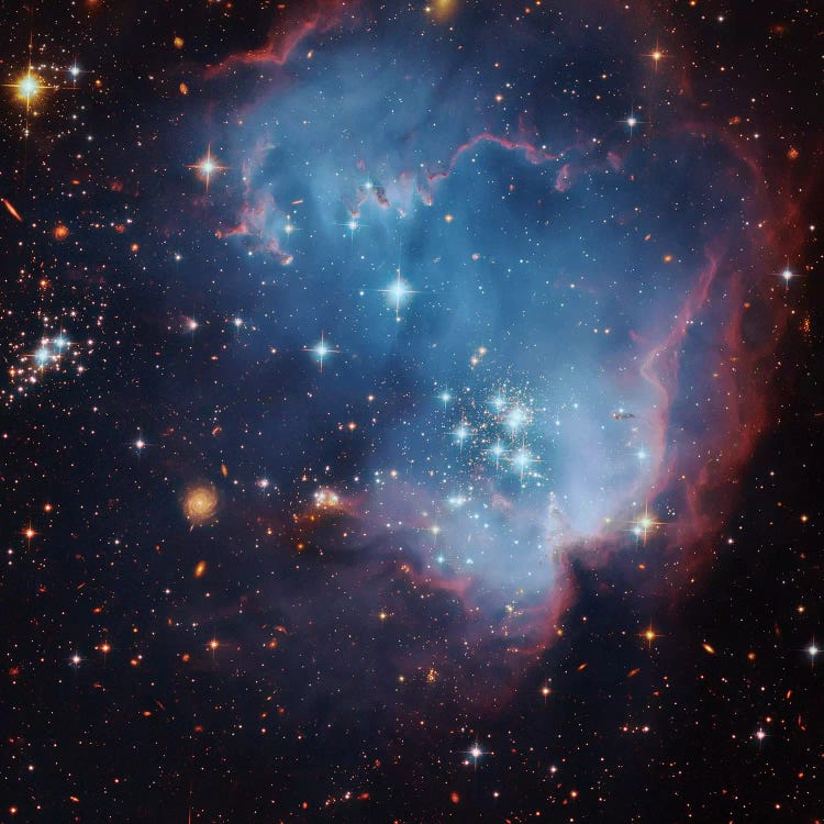 Star Forming Region In The Small Magellanic Cloud (NGC 602) by Robert Gendler wall art