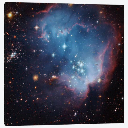 Star Forming Region In The Small Magellanic Cloud (NGC 602) Canvas Print #GEN101} by Robert Gendler Canvas Print