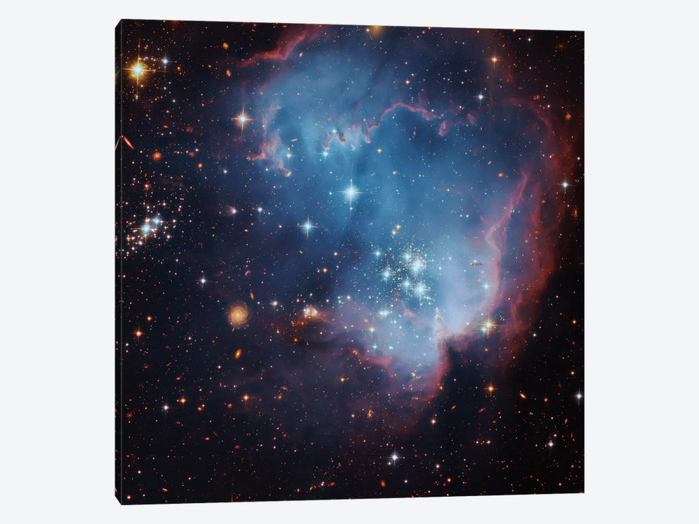 Star Forming Region In The Small Magellanic Cloud (NGC 602) by Robert Gendler 1-piece Canvas Art Print