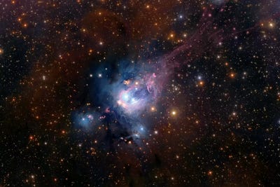 Stellar Nursery (NGC 7129) by Robert Gendler acrylic art print