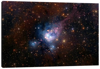Stellar Nursery (NGC 7129) Canvas Art Print