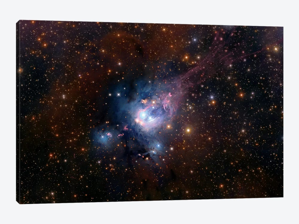 Stellar Nursery (NGC 7129) by Robert Gendler 1-piece Canvas Art