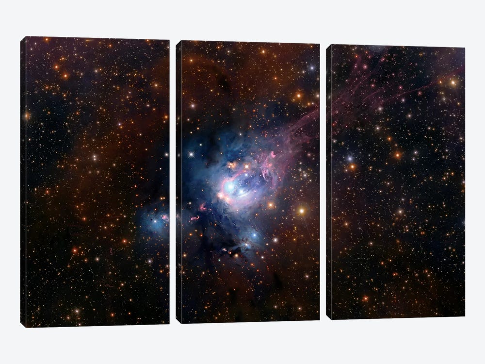 Stellar Nursery (NGC 7129) by Robert Gendler 3-piece Canvas Art
