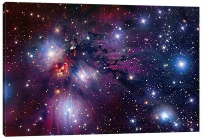 Stellar Nursery In Monoceros (NGC 2170) Canvas Art Print - Pantone Ultra Violet 2018