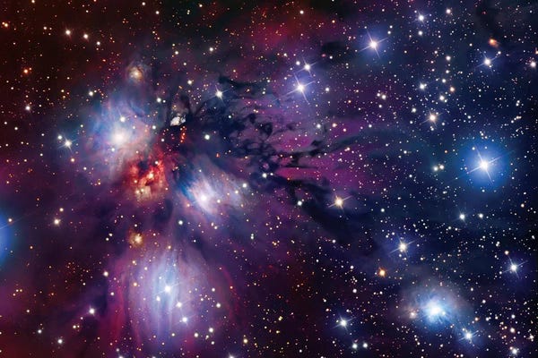 Robert Gendler: Stellar Nursery In Monoceros (NGC 2170) by Robert Gendler