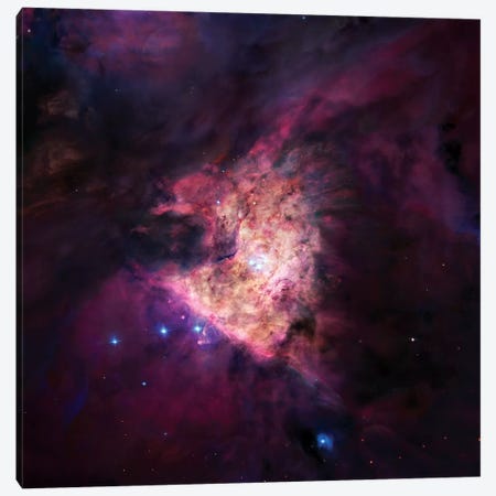 The Center Of The Orion Nebula (The Trapezium Cluster) Mosaic Canvas Print #GEN106} by Robert Gendler Canvas Wall Art