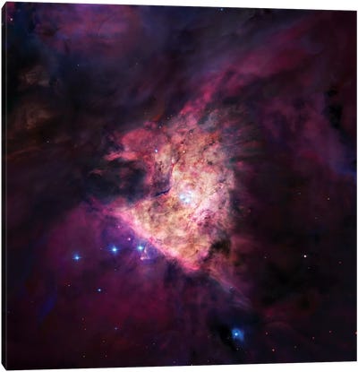 The Center Of The Orion Nebula (The Trapezium Cluster) Mosaic Canvas Art Print - Nebula Art