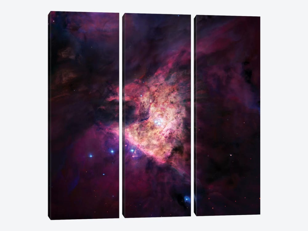 The Center Of The Orion Nebula (The Trapezium Cluster) Mosaic by Robert Gendler 3-piece Canvas Artwork