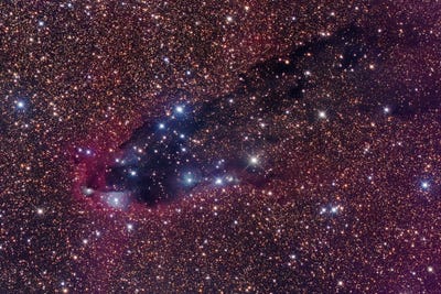 The Dark Tower, Cometary Globule In Scorpius by Robert Gendler acrylic art print