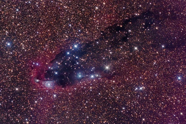 Robert Gendler: The Dark Tower, Cometary Globule In Scorpius by Robert Gendler
