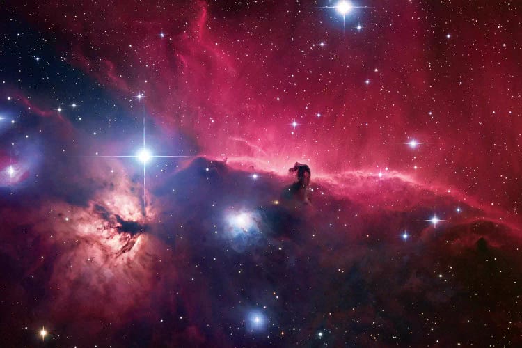 The Horsehead Nebula Region by Robert Gendler wall art