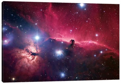 The Horsehead Nebula Region Canvas Art Print