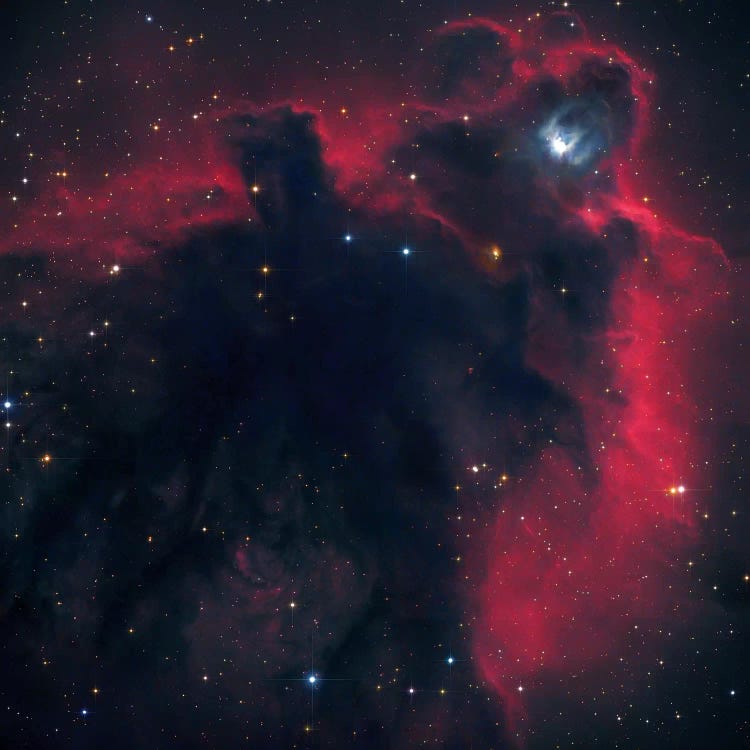 Cometary Globule In Orion (LDN 1622)