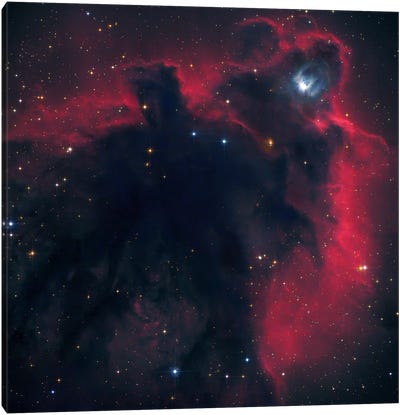 Cometary Globule In Orion (LDN 1622) Canvas Art Print