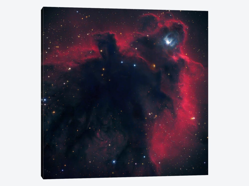 Cometary Globule In Orion (LDN 1622) by Robert Gendler 1-piece Canvas Print