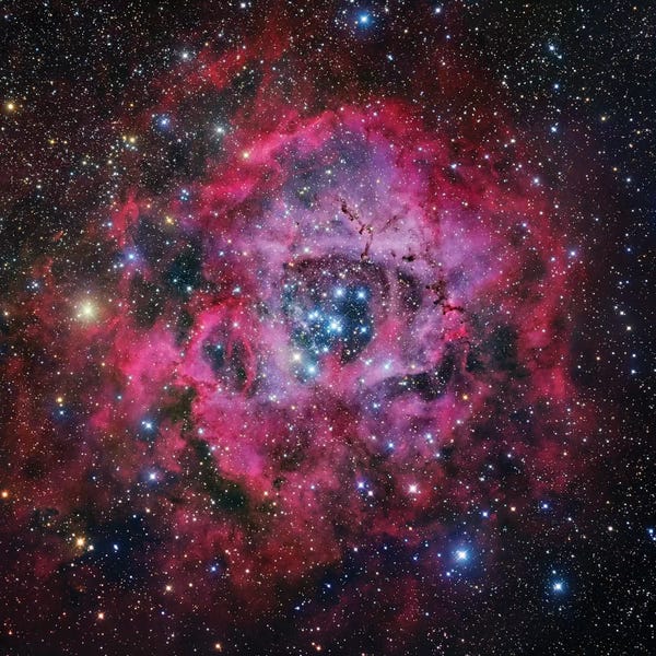 Robert Gendler: The Rosette Nebula In Monoceros Mosaic by Robert Gendler