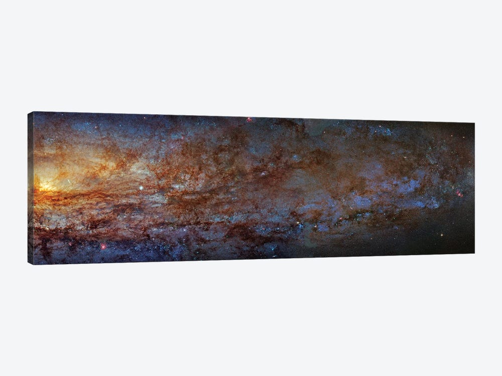 The Sculptor Galaxy (NGC 253) I by Robert Gendler 1-piece Canvas Print