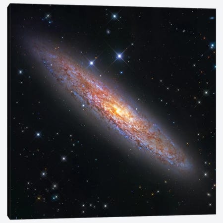 The Sculptor Galaxy (NGC 253) II Canvas Print #GEN115} by Robert Gendler Art Print