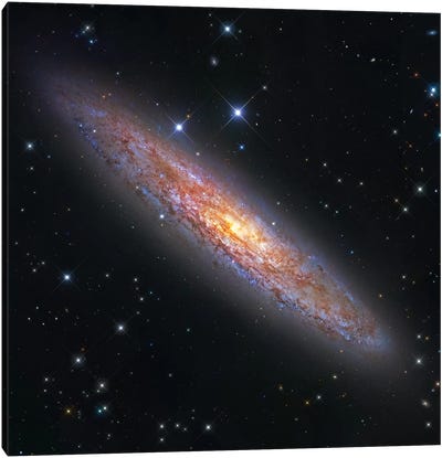 The Sculptor Galaxy (NGC 253) II Canvas Art Print - Galaxy Art