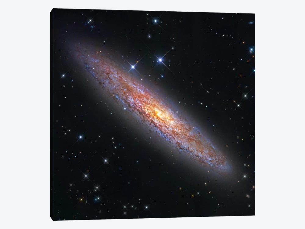 The Sculptor Galaxy (NGC 253) II by Robert Gendler 1-piece Canvas Wall Art
