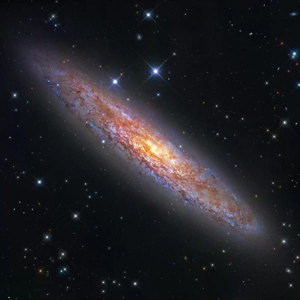 Robert Gendler: The Sculptor Galaxy (NGC 253) II by Robert Gendler