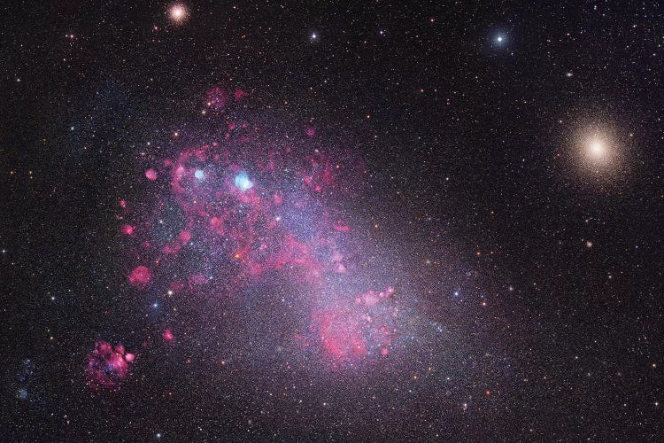 The Small Magellanic Cloud (NGC 292) by Robert Gendler wall art