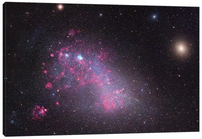 The Small Magellanic Cloud (NGC 292) Canvas Art Print - Galaxy Art