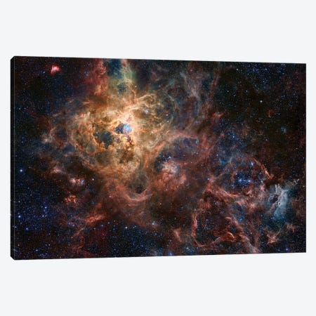 The Tarantula Nebula Composite Image (NGC 2070) Canvas Print #GEN118} by Robert Gendler Canvas Wall Art