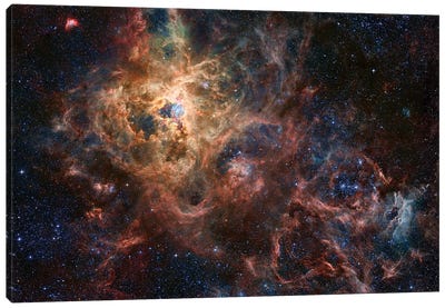 The Tarantula Nebula Composite Image (NGC 2070) Canvas Art Print - 3-Piece Astronomy & Space Art
