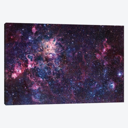 The Tarantula Nebula Mosaic (NGC 2070) Canvas Print #GEN119} by Robert Gendler Canvas Wall Art