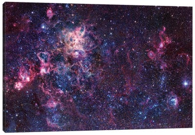 The Tarantula Nebula Mosaic (NGC 2070) Canvas Art Print - Nebula Art