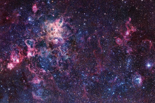 Robert Gendler: The Tarantula Nebula Mosaic (NGC 2070) by Robert Gendler