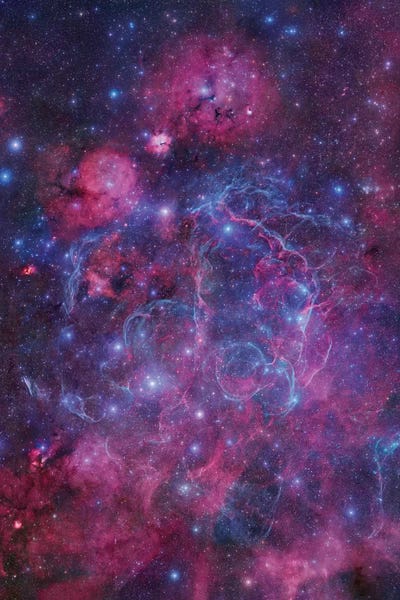 Robert Gendler: Vela Supernova Remnant Mosaic I by Robert Gendler