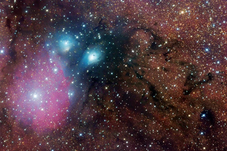 Complex Nebula In Sagittarius (NGC 6589) by Robert Gendler wall art