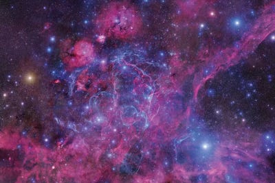 The Vela Supernova Remnant Canvas Art by Robert Gendler | iCanvas