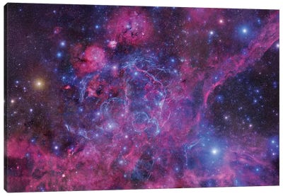 The Vela Supernova Remnant Canvas Art Print - Galaxy Art