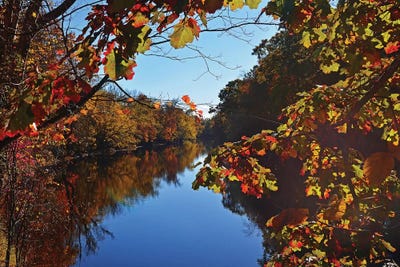 Autumn 2019 II by Robert Gendler framed canvas print