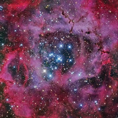 The Rosette Nebula by Robert Gendler canvas print