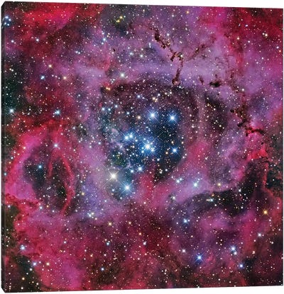 The Rosette Nebula Canvas Art Print - Pantone 2023 Viva Magenta