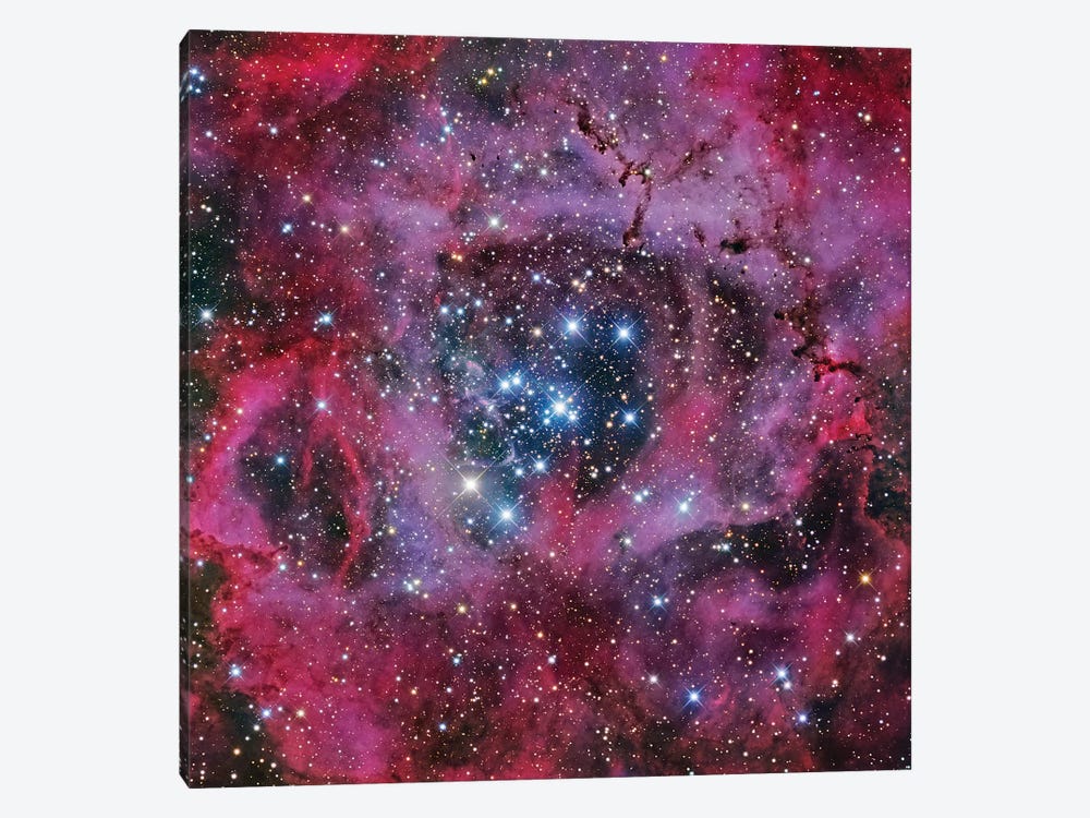 The Rosette Nebula 1-piece Canvas Wall Art