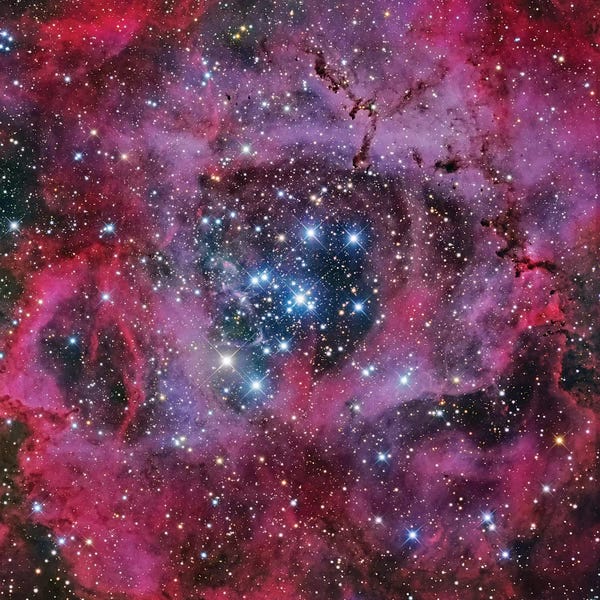 Robert Gendler: The Rosette Nebula by Robert Gendler