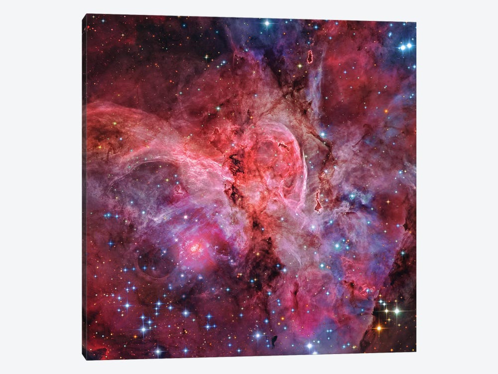 Central Eta Carinae by Robert Gendler 1-piece Canvas Art Print