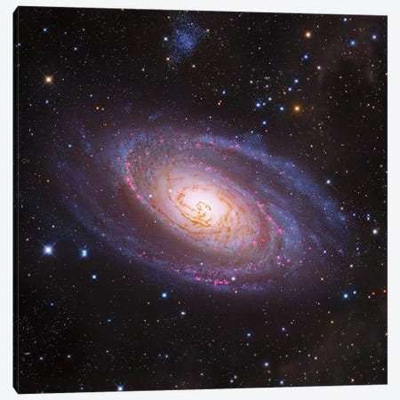 Bode's Galaxy, M81 Spiral Galaxy In Ursa Major III Canvas Print #GEN154} by Robert Gendler Canvas Art Print