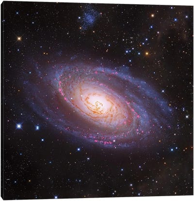Bode's Galaxy, M81 Spiral Galaxy In Ursa Major III Canvas Art Print - Robert Gendler